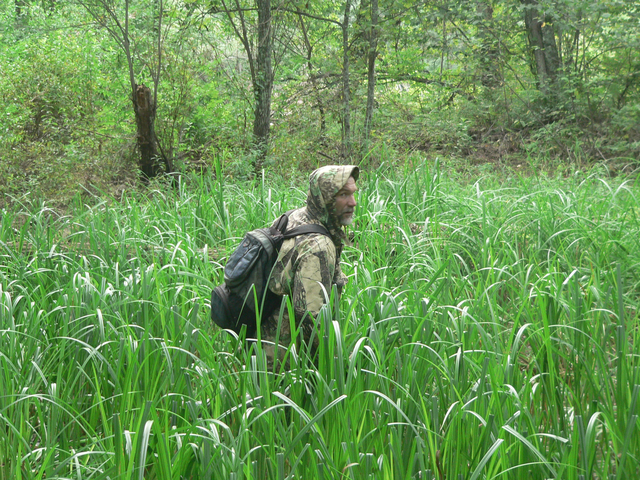 SlaghtBlog07_DenseGrasses